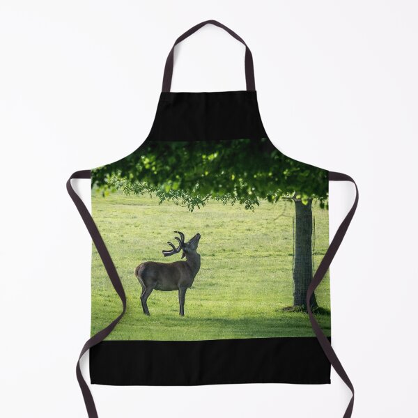 Item preview, Stag eyes-up lush leaves of tree canopy designed and sold by bailey-cooper.