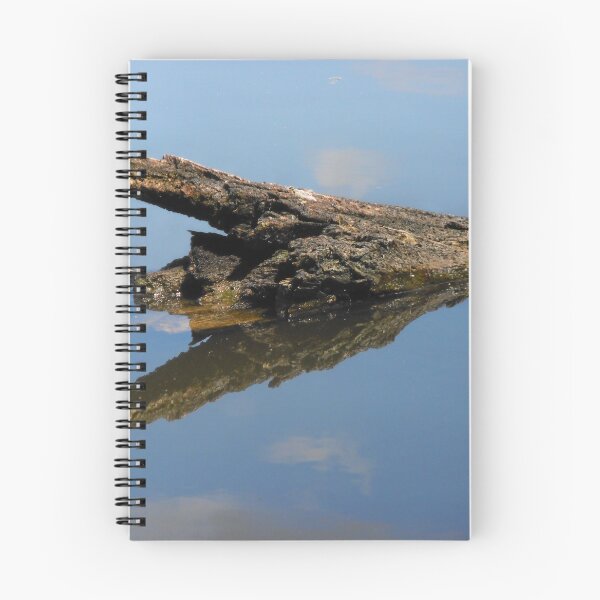 Item preview, Submerged, Lake Ginninderra, A.C.T. Australia. designed and sold by kaysharp.