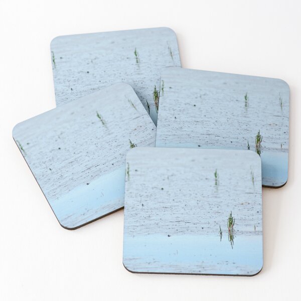 Item preview, Common Glasswort designed and sold by Calidris Fotografie Steffi & Ben Köppler.