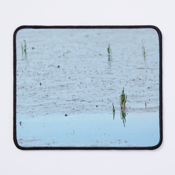 Item preview, Common Glasswort designed and sold by Calidris Fotografie Steffi & Ben Köppler.