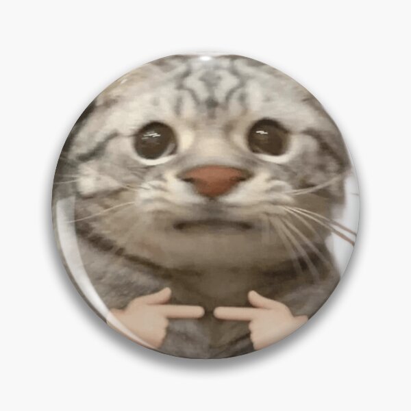 Item preview, begging cat designed and sold by TayyarProduct.
