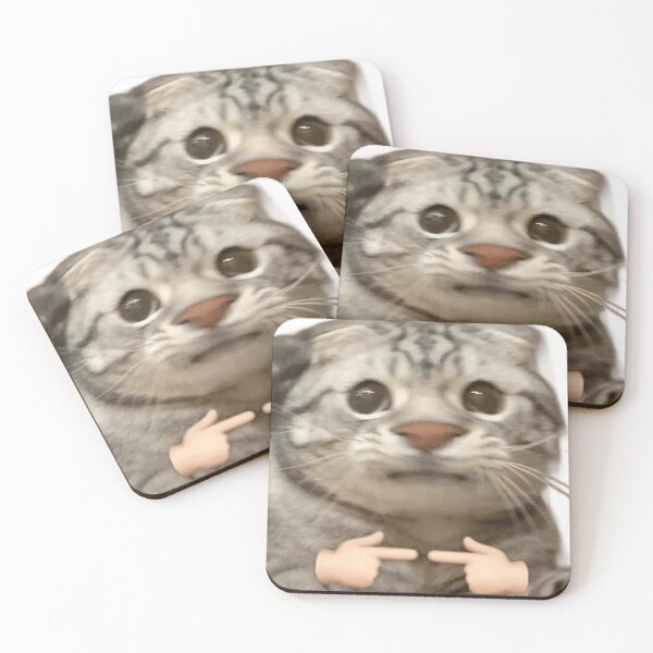 Item preview, begging cat designed and sold by TayyarProduct.