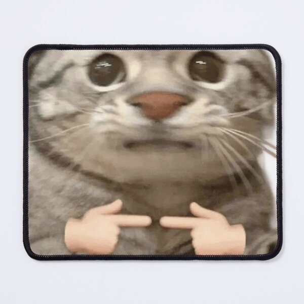 Item preview, begging cat designed and sold by TayyarProduct.