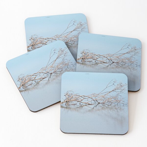 Item preview, Drift Wood designed and sold by Calidris Fotografie Steffi & Ben Köppler.