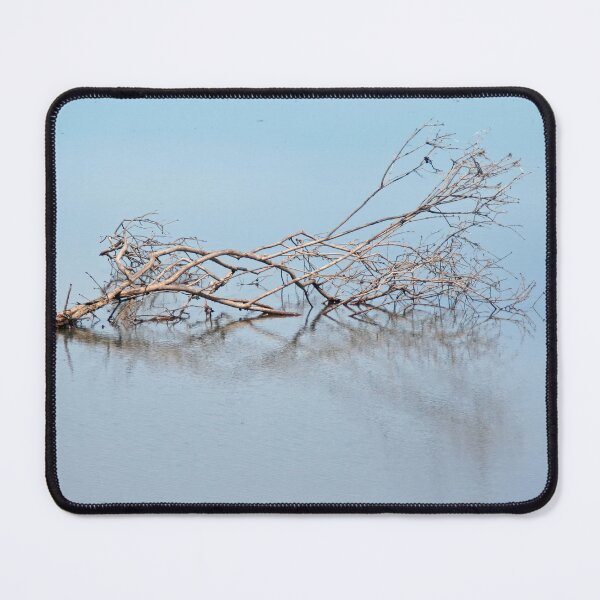 Item preview, Drift Wood designed and sold by Calidris Fotografie Steffi & Ben Köppler.