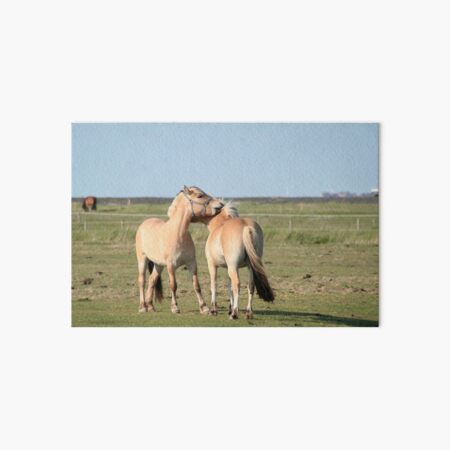 Artikel-Vorschau von Kuscheltiere, designt und verkauft von Calidris Fotografie Steffi & Ben Köppler.