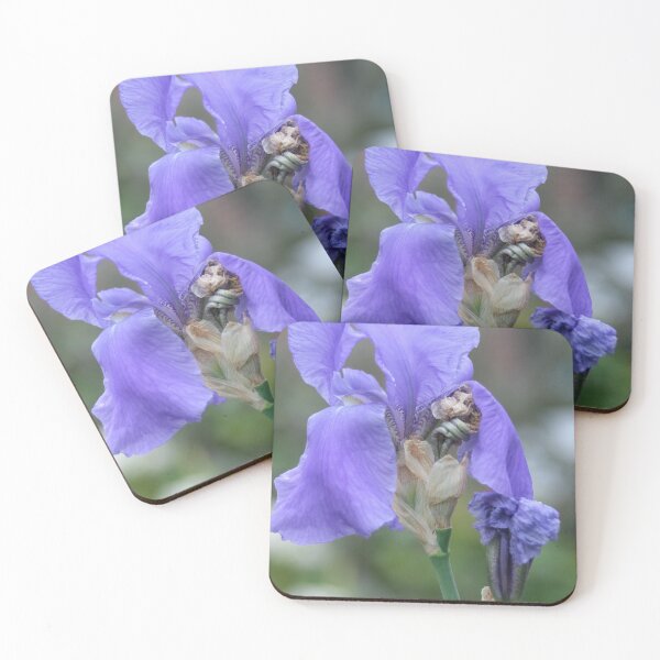 Item preview, Iris designed and sold by Calidris Fotografie Steffi & Ben Köppler.