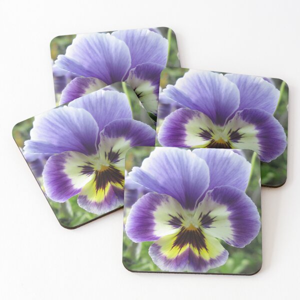 Item preview, Pansy designed and sold by Calidris Fotografie Steffi & Ben Köppler.