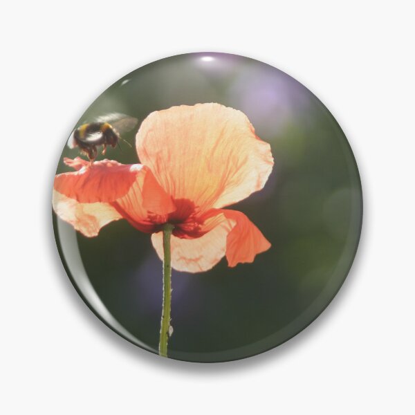 Item preview, Bumble bee and poppy designed and sold by Calidris Fotografie Steffi & Ben Köppler.