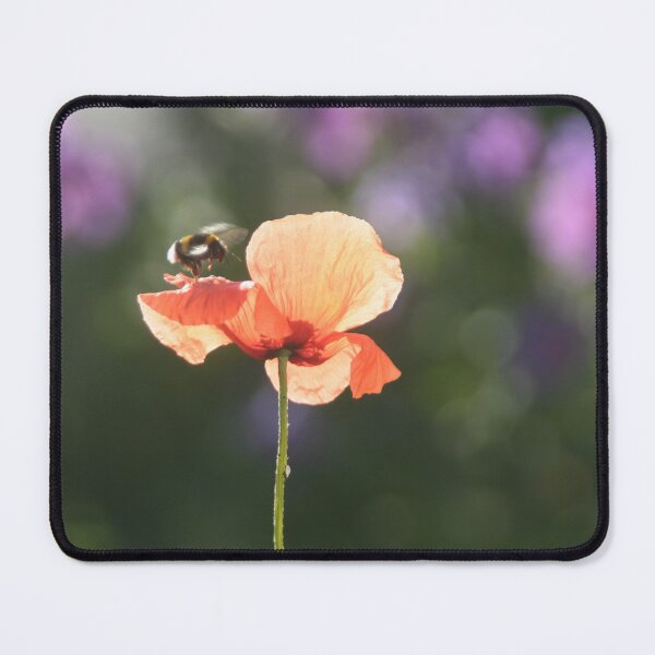Item preview, Bumble bee and poppy designed and sold by Calidris Fotografie Steffi & Ben Köppler.