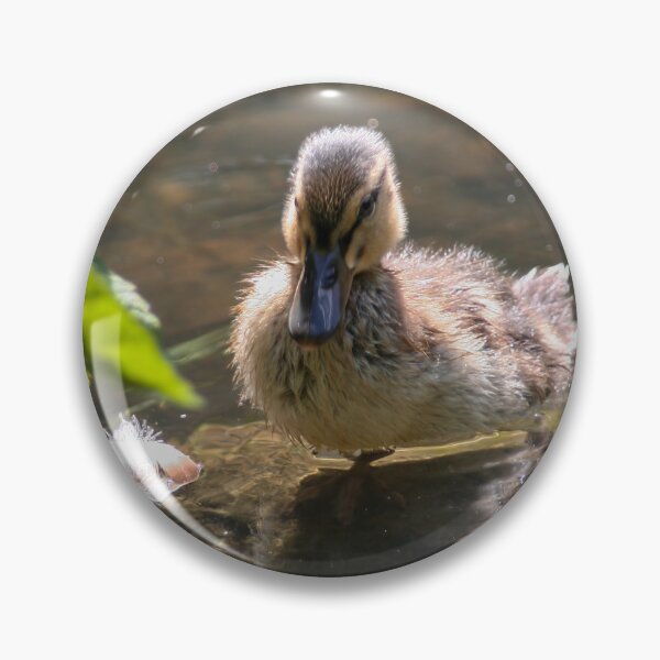 Item preview, Duckling designed and sold by Calidris Fotografie Steffi & Ben Köppler.