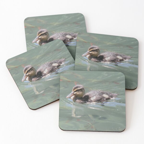 Item preview, Baby Mallard on Fish Pond designed and sold by Calidris Fotografie Steffi & Ben Köppler.