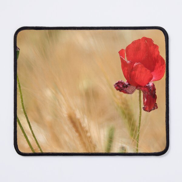 Item preview, Poppy and Barley designed and sold by Calidris Fotografie Steffi & Ben Köppler.