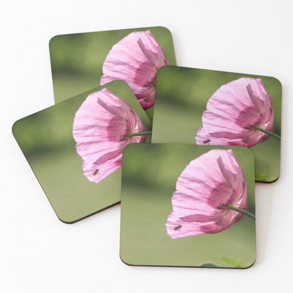 Item preview, Pink Poppy and Fly designed and sold by Calidris Fotografie Steffi & Ben Köppler.