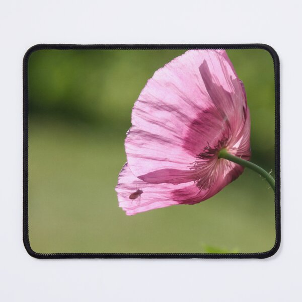 Item preview, Pink Poppy and Fly designed and sold by Calidris Fotografie Steffi & Ben Köppler.
