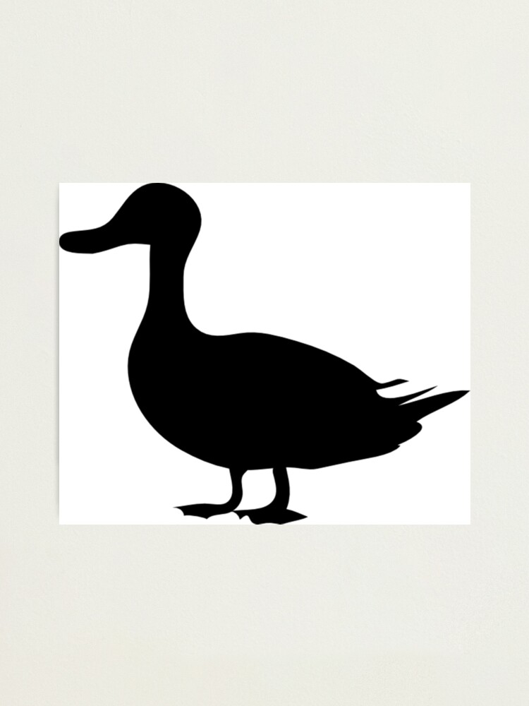 cute duck silhouette photographic print by shabzdesigns redbubble redbubble