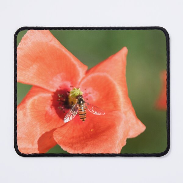 Item preview, Poppy with Hoverfly designed and sold by Calidris Fotografie Steffi & Ben Köppler.