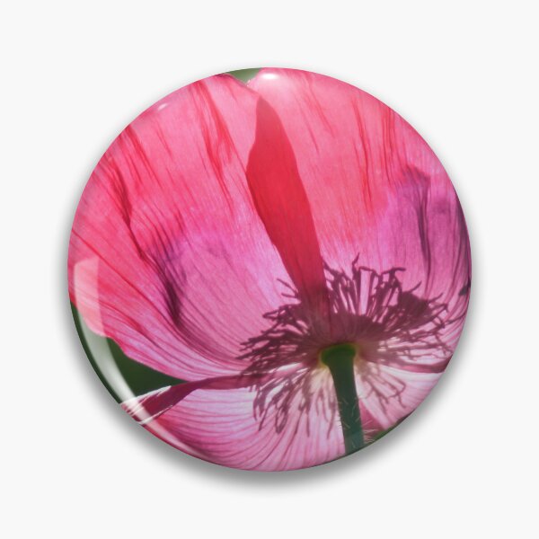 Item preview, Poppy and Bumble Bee designed and sold by Calidris Fotografie Steffi & Ben Köppler.