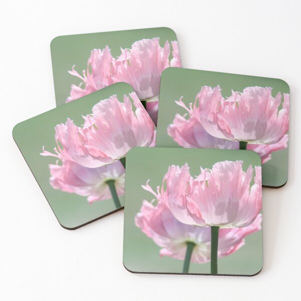 Item preview, Bright Pink Poppy designed and sold by Calidris Fotografie Steffi & Ben Köppler.