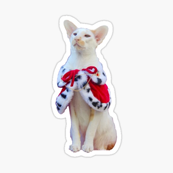 Item preview, Regal Winston designed and sold by hannahzgreat.