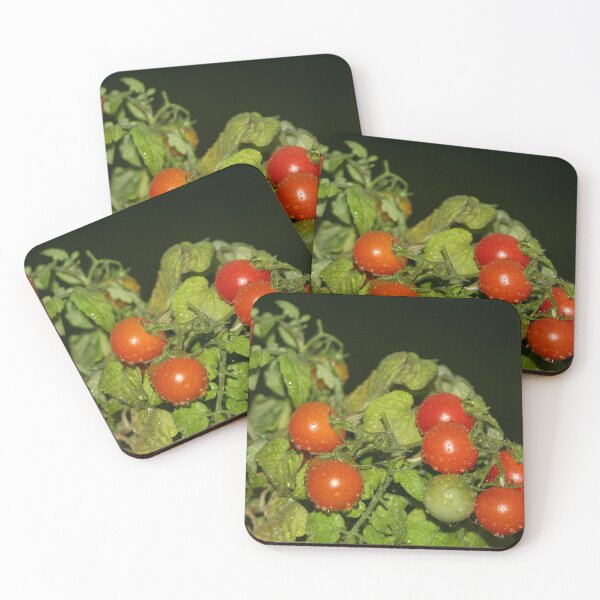 Artikelvorschau, Tomaten und Regen entworfen und verkauft von Calidris Fotografie Steffi & Ben Köppler.