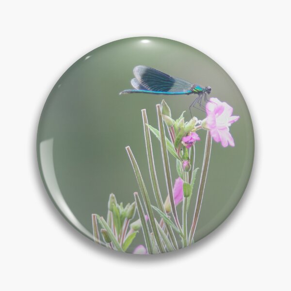 Item preview, Banded Demoiselle  designed and sold by Calidris Fotografie Steffi & Ben Köppler.