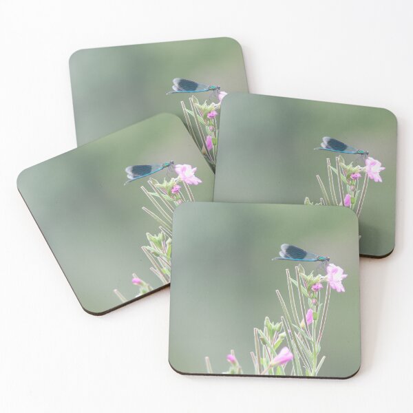 Item preview, Banded Demoiselle  designed and sold by Calidris Fotografie Steffi & Ben Köppler.