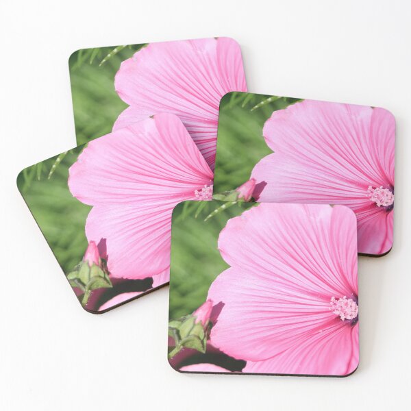 Item preview, Look at me designed and sold by Calidris Fotografie Steffi & Ben Köppler.