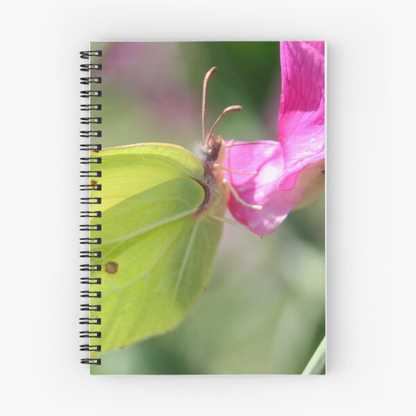 Item preview, Common Brimstone designed and sold by Calidris Fotografie Steffi & Ben Köppler.