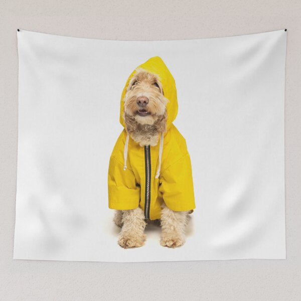 Item preview, Cockapoo in yellow fisherman's coat with hood up. designed and sold by bailey-cooper.