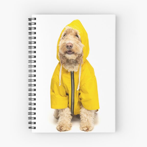 Item preview, Cockapoo in yellow fisherman's coat with hood up. designed and sold by bailey-cooper.
