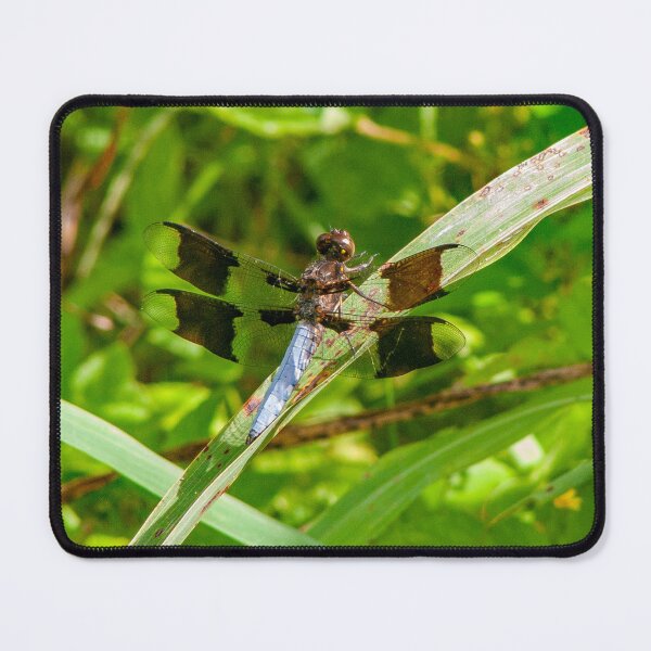 Item preview, Give Someone You Love A Dragonfly Kiss~The dragonfly is an important symbol representing change, rebirth, happiness, good luck, and financial gain as well as insight. designed and sold by MoreEZUSA-Here.