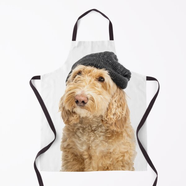 Item preview, Headshot of blonde cockapoo in black beanie hat. designed and sold by bailey-cooper.