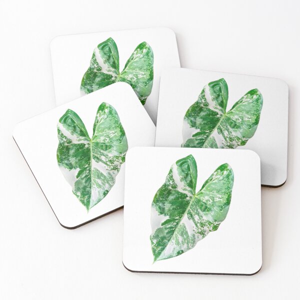 Item preview, alocasia leaf designed and sold by Meo Design.