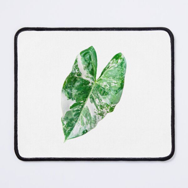 Item preview, alocasia leaf designed and sold by Meo Design.
