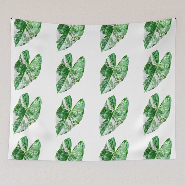 Item preview, alocasia leaf designed and sold by Meo Design.