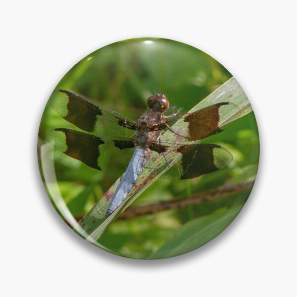 Artikelvorschau, For The Dragonfly Lover In You~The Dragonfly symbolizes transformation and self-realization. The Dragonfly represents creative imagination and the insight of clear vision. entworfen und verkauft von MoreEZUSA-Here.