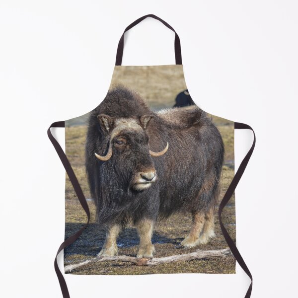 Item preview, Arctic Muskox designed and sold by AlsknMommaBear2.