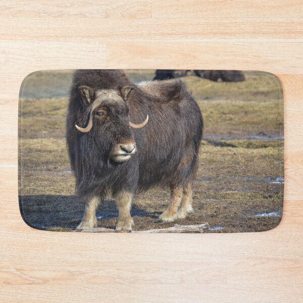 Item preview, Arctic Muskox designed and sold by AlsknMommaBear2.