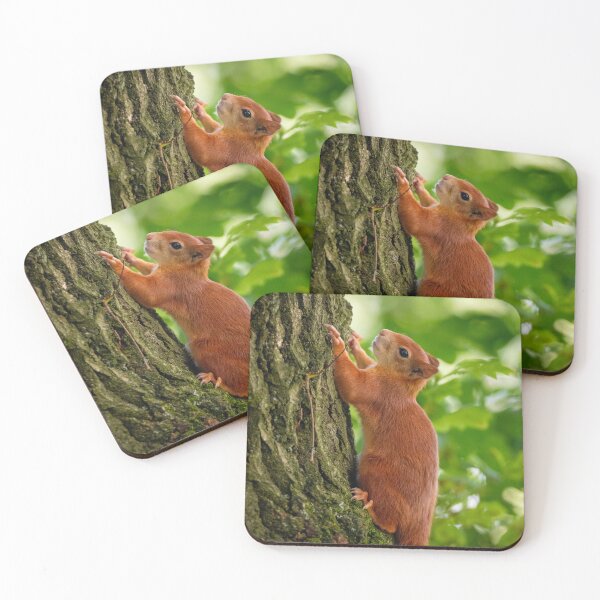 Item preview, Red squirrel close-up, nimbly climbing a tree trunk. designed and sold by bailey-cooper.