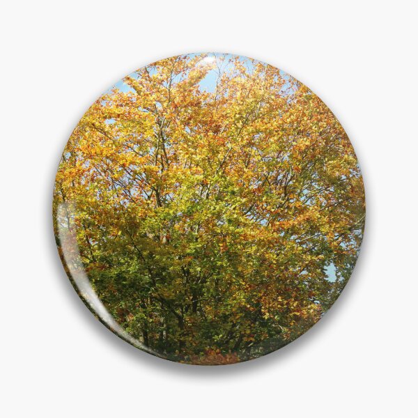 Artikelvorschau, Laubbaum in herbstlichen Farben. entworfen und verkauft von prestongeorge.