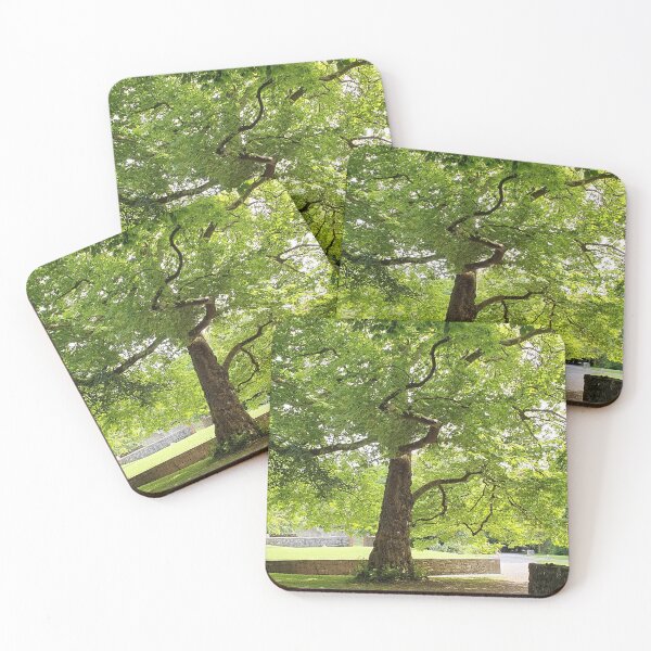 Item preview, Tree at Coole  designed and sold by ellie-irl.