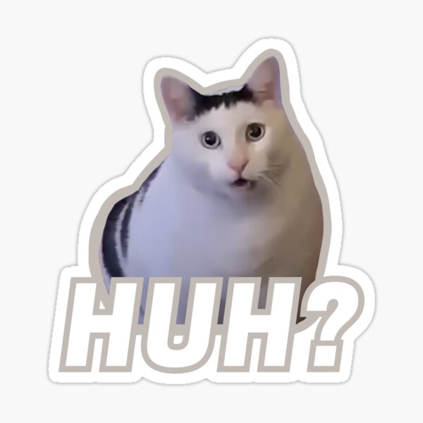 “Huh cat meme | Huh?” Sticker for Sale by ins1ck | Redbubble