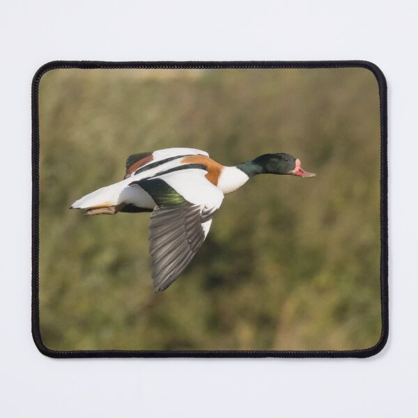 Item preview, Shelduck designed and sold by LaurenTucker.