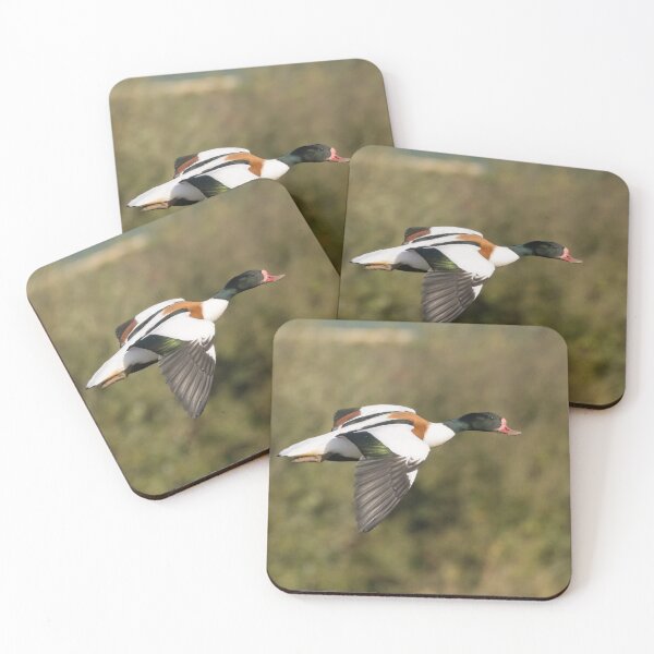 Item preview, Shelduck designed and sold by LaurenTucker.