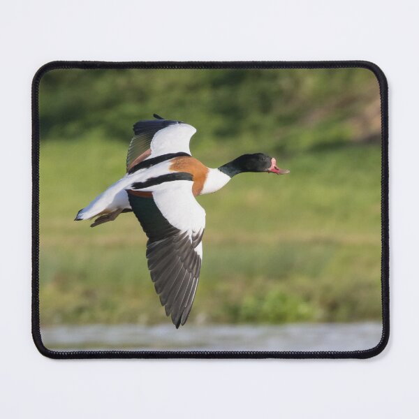 Item preview, Shelduck designed and sold by LaurenTucker.