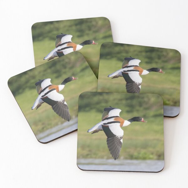 Item preview, Shelduck designed and sold by LaurenTucker.