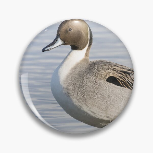 Item preview, Pintail designed and sold by LaurenTucker.