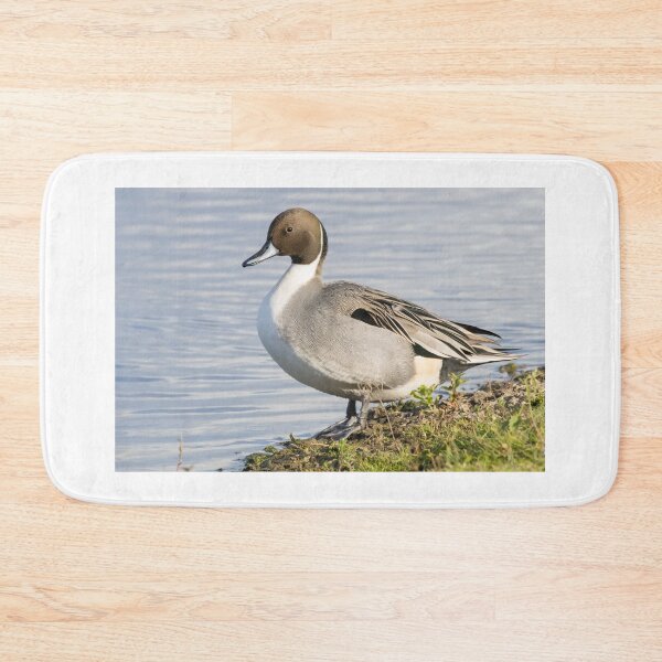 Item preview, Pintail designed and sold by LaurenTucker.