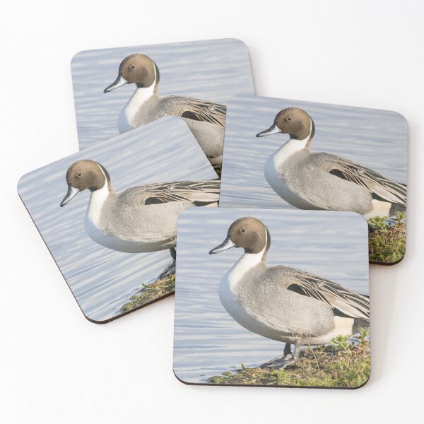 Item preview, Pintail designed and sold by LaurenTucker.